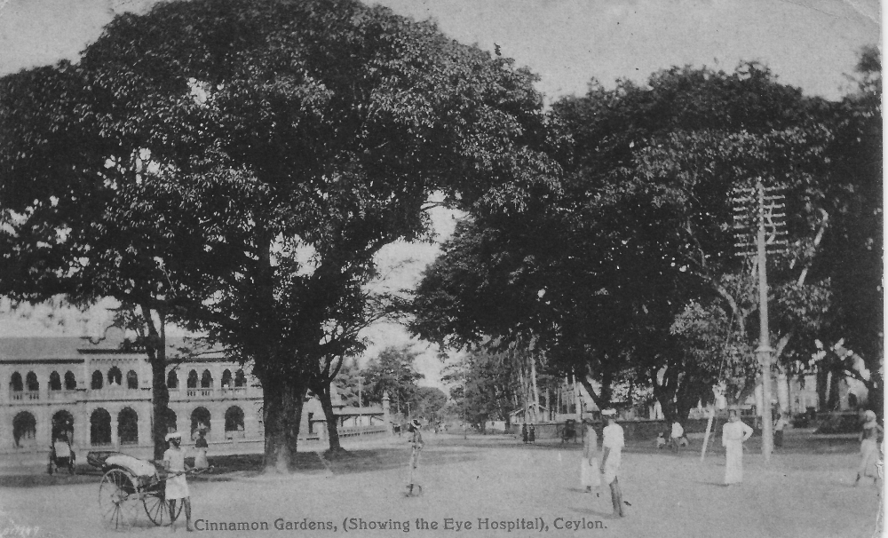 Jardins de Cannelle